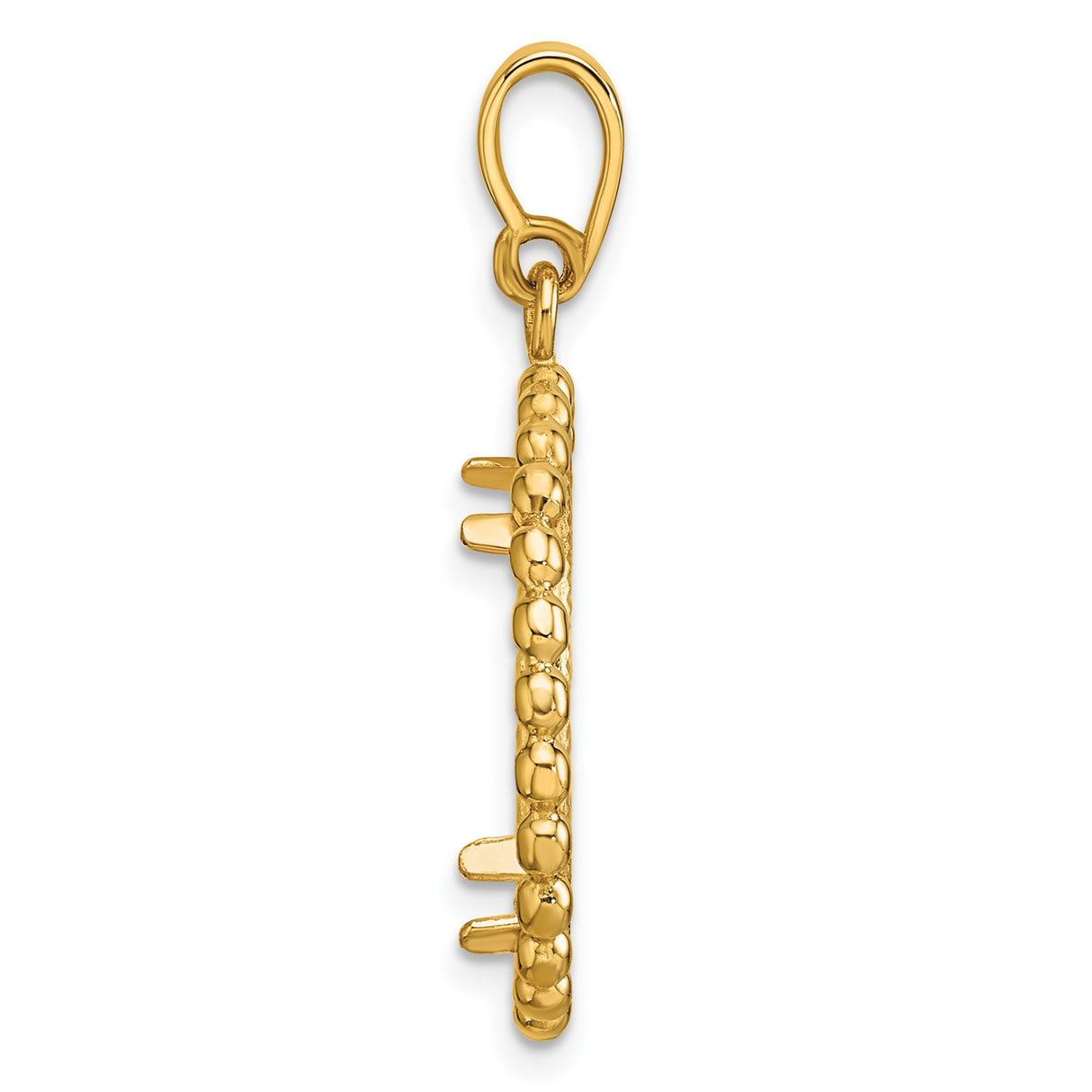 14k Yellow Gold coin bezel for Isle of Man Cat β alternate view