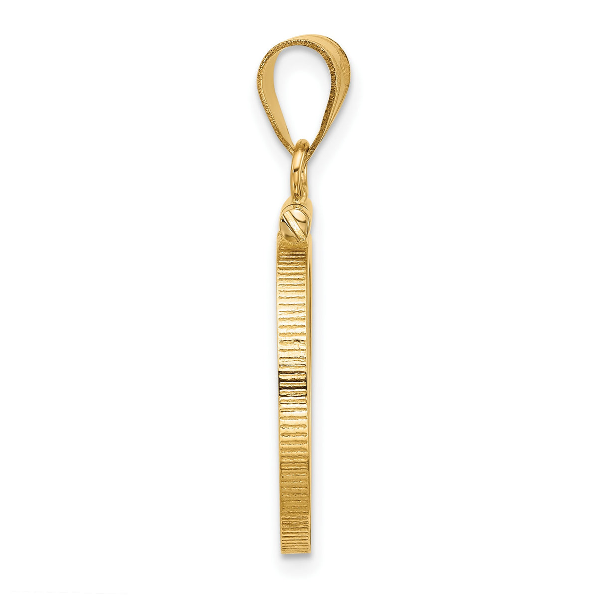 14k Yellow Gold coin bezel for Isle of Man Cat β alternate view