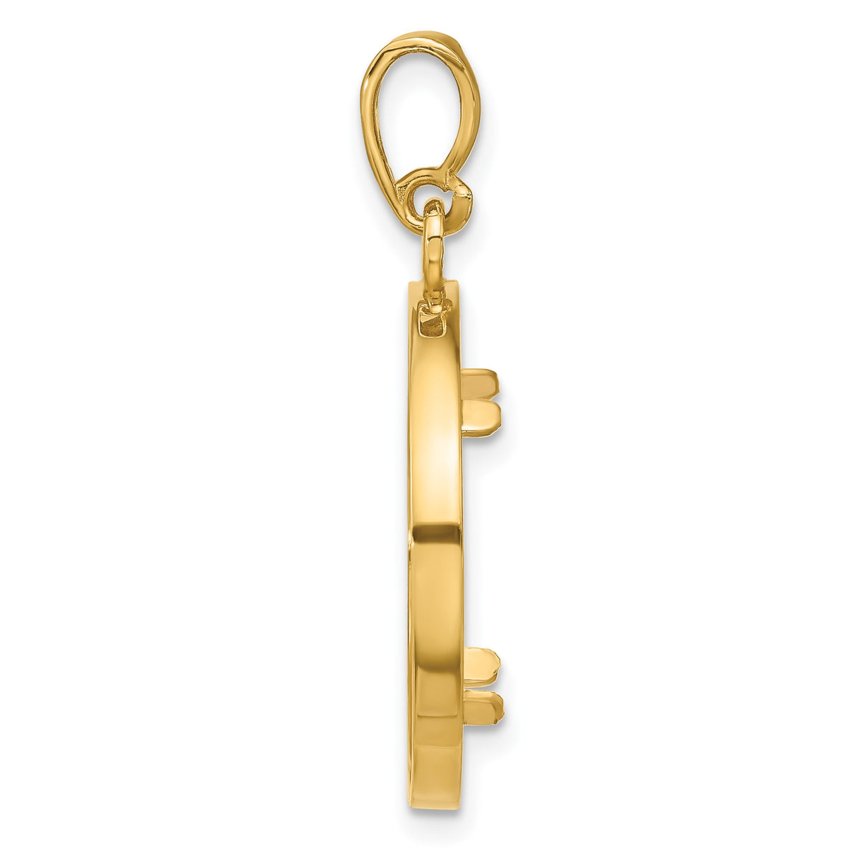 Australian 1/10 oz Gold Kangaroo $15 Coin Bezel Pendant Prong Set Rope Frame in 14k Yellow Gold