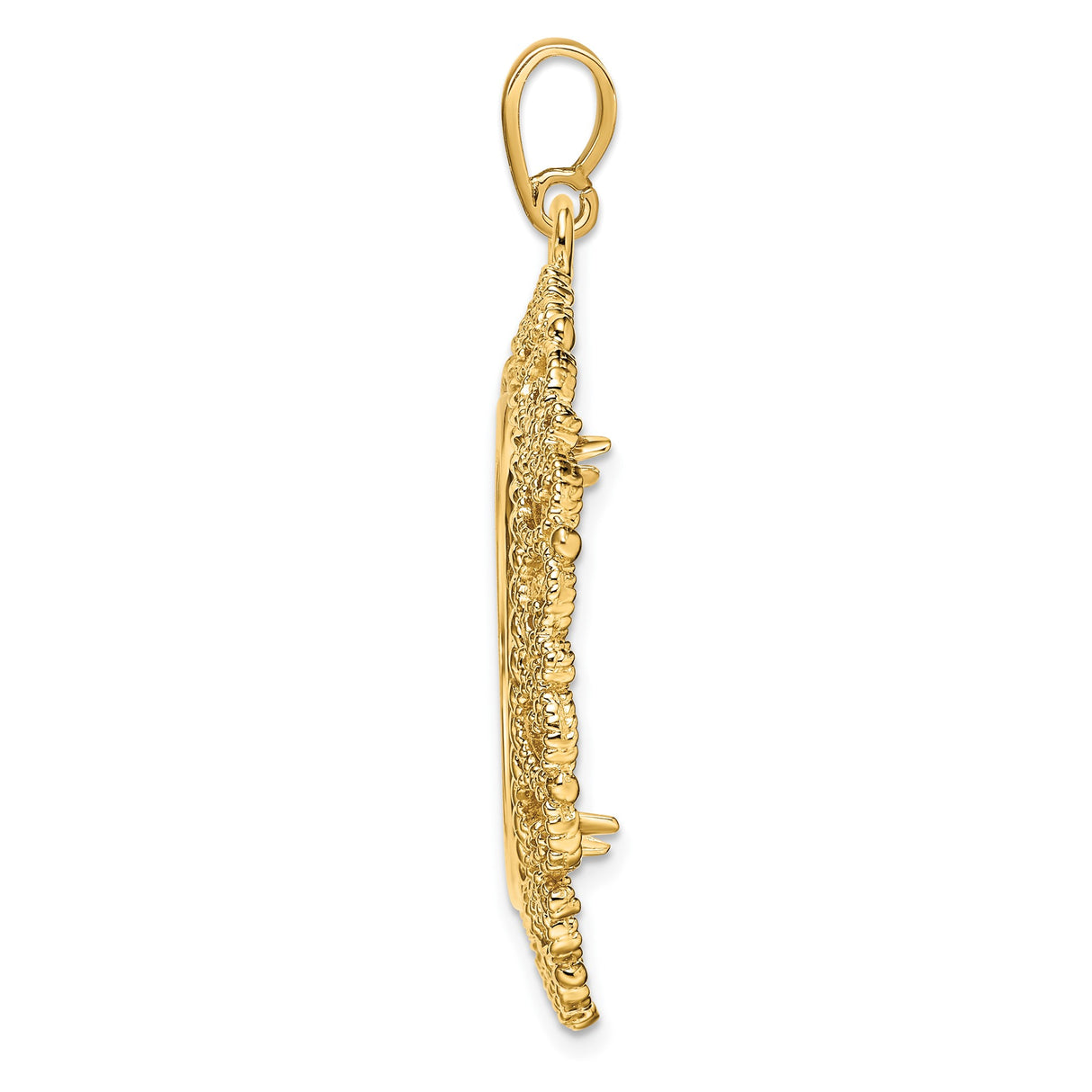22 mm 14k Yellow Gold coin bezel pendant for US $10 American Eagle — alternate view