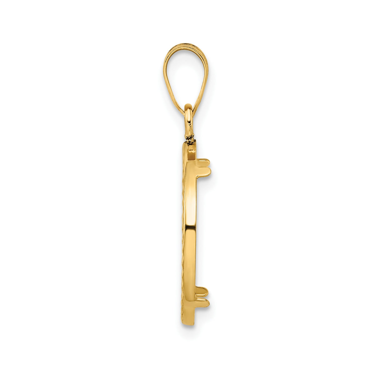 14k Yellow Gold coin bezel for Isle of Man Cat — alternate view