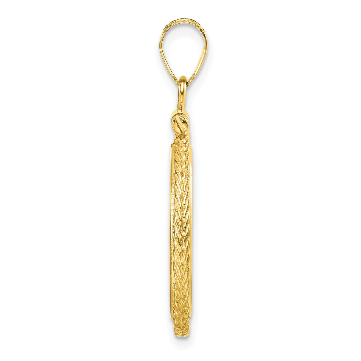 14k Yellow Gold coin bezel for Isle of Man Cat — alternate view