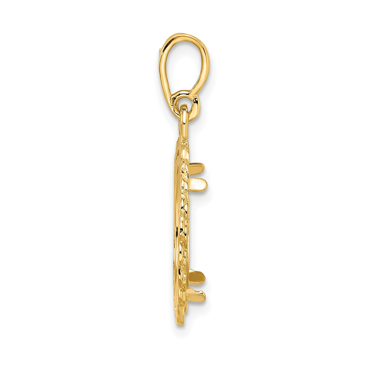 15 mm 14k Yellow Gold coin bezel pendant for Canadian $2 Maple Leaf — alternate view
