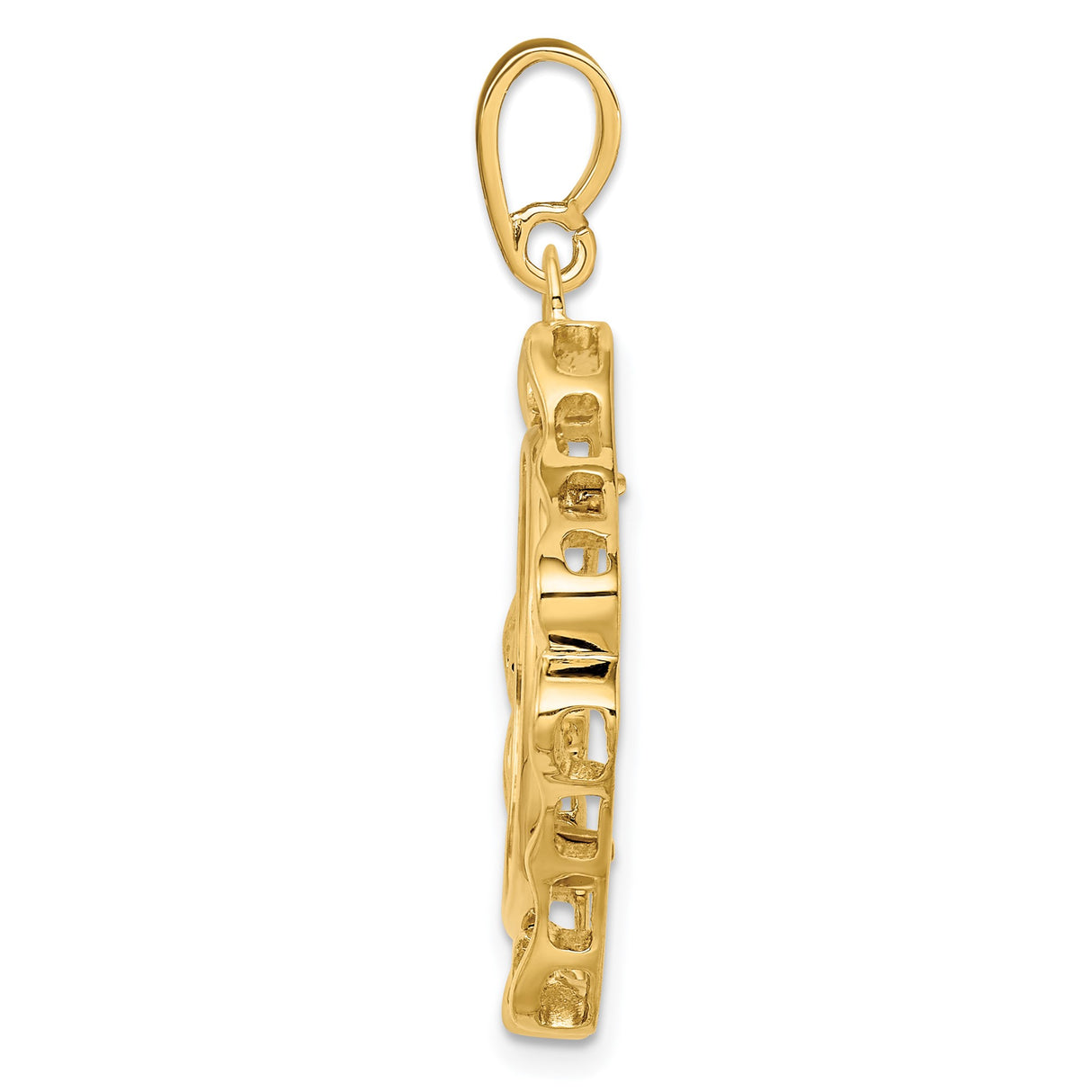 14k Yellow Gold coin bezel for Isle of Man Cat — alternate view