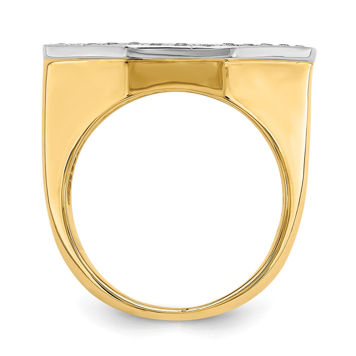 14k Multi-Tone Gold coin bezel for Isle of Man Cat — alternate view
