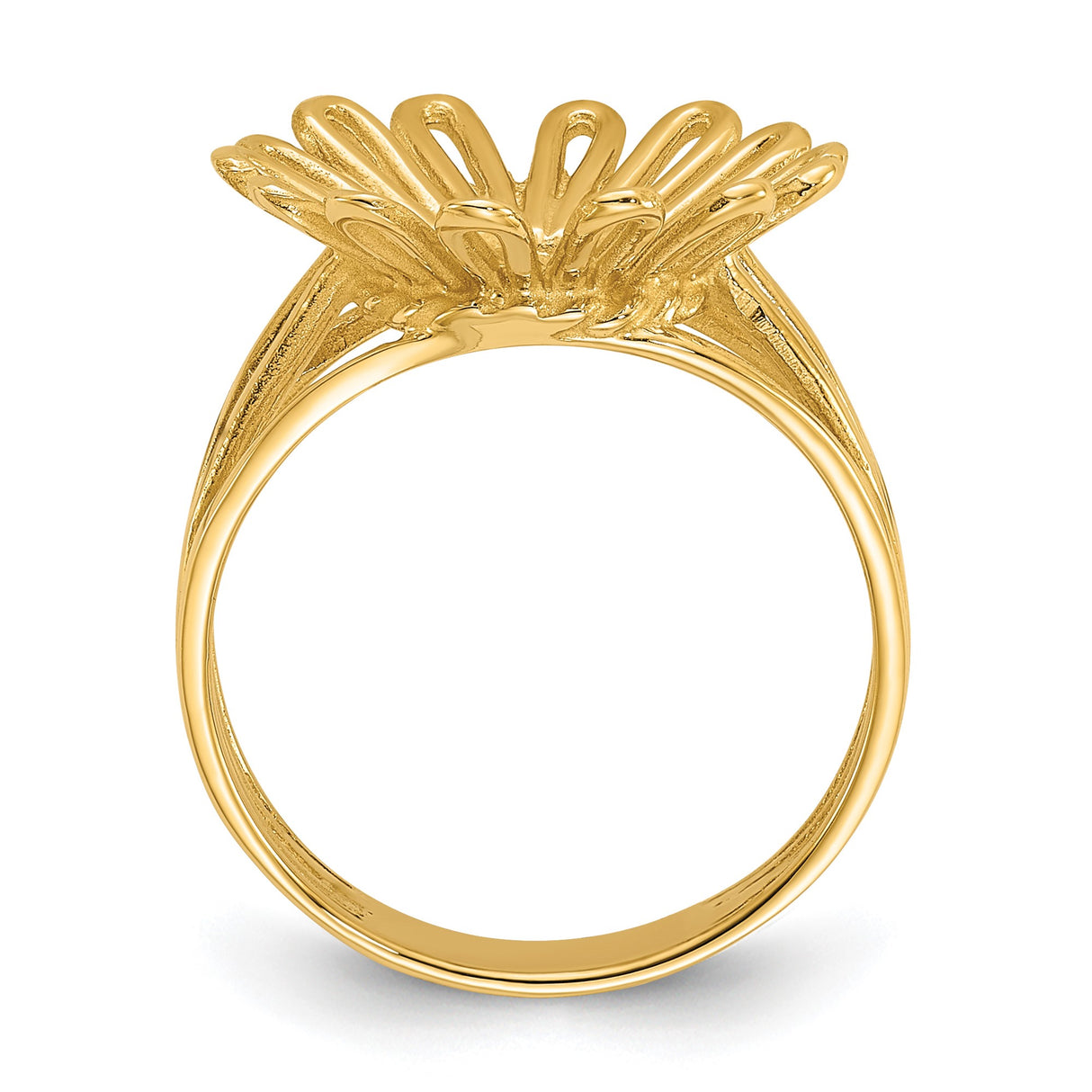 17 mm 14k Yellow Gold coin bezel ring for US $10 American Eagle Platinum — alternate view