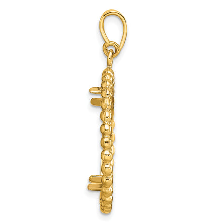 22 mm 14k Yellow Gold coin bezel pendant for US $5 Liberty Head Half Eagle — alternate view
