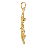 22 mm 14k Yellow Gold coin bezel pendant for US $5 Liberty Head Half Eagle — alternate view